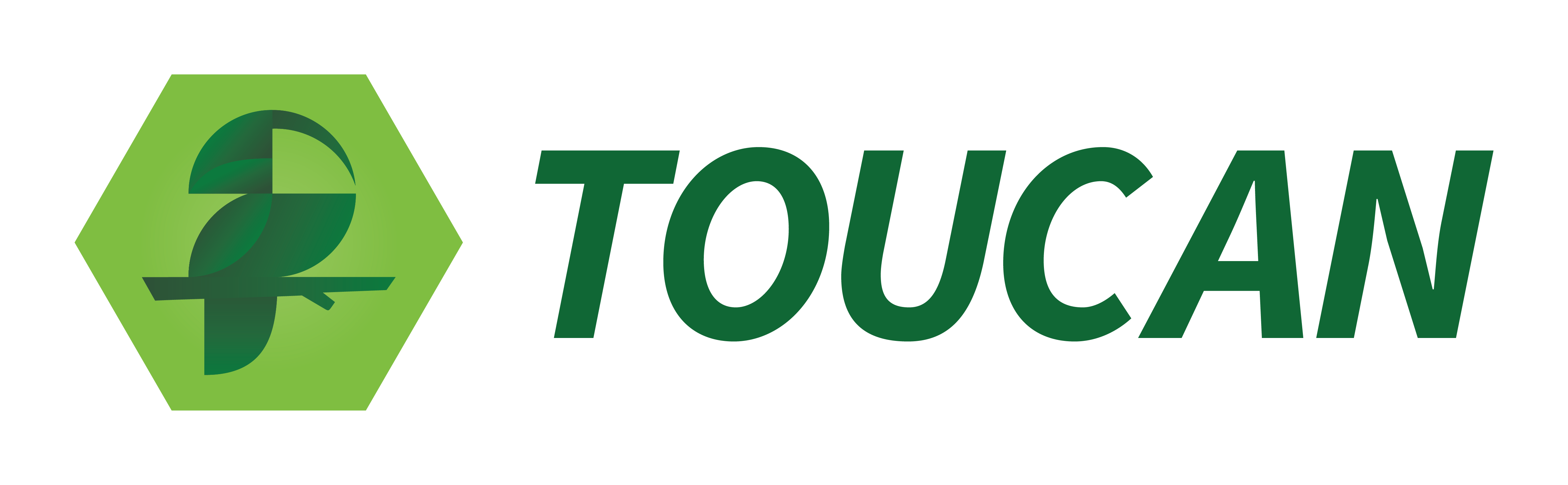 Toucan
